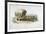 Stage Wagon, 1805-William Henry Pyne-Framed Giclee Print