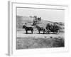 Stagecoach at Yellowstone National Park Photograph - Yellowstone, WY-Lantern Press-Framed Art Print