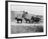 Stagecoach at Yellowstone National Park Photograph - Yellowstone, WY-Lantern Press-Framed Art Print