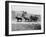 Stagecoach at Yellowstone National Park Photograph - Yellowstone, WY-Lantern Press-Framed Art Print