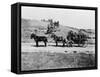 Stagecoach at Yellowstone National Park Photograph - Yellowstone, WY-Lantern Press-Framed Stretched Canvas