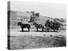 Stagecoach at Yellowstone National Park Photograph - Yellowstone, WY-Lantern Press-Stretched Canvas