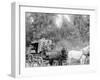 Stagecoach, Possibly Adirondack Mountains, N.Y., or White Mountains, N.H.-null-Framed Photo