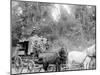 Stagecoach, Possibly Adirondack Mountains, N.Y., or White Mountains, N.H.-null-Mounted Photo