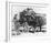 Stagecoach-null-Framed Photo