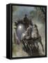 Stagecoach-null-Framed Stretched Canvas