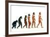 Stages In Human Evolution-David Gifford-Framed Photographic Print