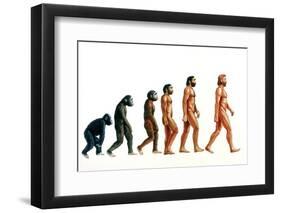 Stages In Human Evolution-David Gifford-Framed Photographic Print