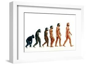 Stages In Human Evolution-David Gifford-Framed Photographic Print