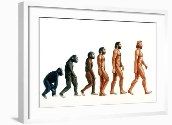 Stages In Human Evolution-David Gifford-Framed Photographic Print