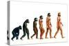 Stages In Human Evolution-David Gifford-Stretched Canvas