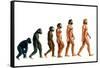 Stages In Human Evolution-David Gifford-Framed Stretched Canvas