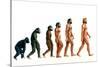 Stages In Human Evolution-David Gifford-Stretched Canvas