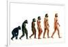 Stages In Human Evolution-David Gifford-Framed Photographic Print