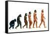 Stages In Human Evolution-David Gifford-Framed Stretched Canvas