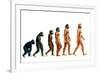 Stages In Human Evolution-David Gifford-Framed Photographic Print