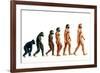 Stages In Human Evolution-David Gifford-Framed Photographic Print