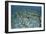 Staghorn Corals are Being Grown Off Turneffe Atoll in Belize-Stocktrek Images-Framed Photographic Print