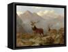 Stags and Hinds in a Highland Landscape, 1864-John Frederick Herring II-Framed Stretched Canvas