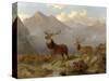 Stags and Hinds in a Highland Landscape, 1864-John Frederick Herring II-Stretched Canvas