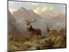 Stags and Hinds in a Highland Landscape, 1864-John Frederick Herring II-Mounted Giclee Print