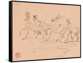 Stags and Hinds-Henri de Toulouse-Lautrec-Framed Stretched Canvas