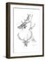 Stags' Heads, 1898-Henry Moore-Framed Giclee Print