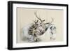 Stags' Heads and Dog, 1857 (Pencil on Paper)-Edwin Henry Landseer-Framed Giclee Print