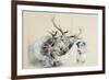 Stags' Heads and Dog, 1857 (Pencil on Paper)-Edwin Henry Landseer-Framed Premium Giclee Print