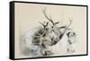 Stags' Heads and Dog, 1857 (Pencil on Paper)-Edwin Henry Landseer-Framed Stretched Canvas