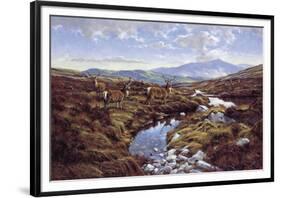 Stags-Peter Munro-Framed Giclee Print