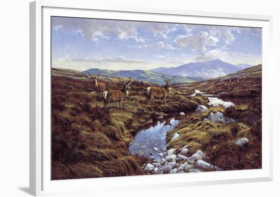 Stags-Peter Munro-Framed Giclee Print