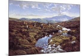Stags-Peter Munro-Mounted Giclee Print