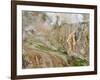 Stain Glass Wall and Geyser River in Valley of the Geysers, Kronotsky Zapovednik, Kamchatka, 2006-Igor Shpilenok-Framed Photographic Print