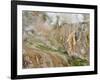 Stain Glass Wall and Geyser River in Valley of the Geysers, Kronotsky Zapovednik, Kamchatka, 2006-Igor Shpilenok-Framed Photographic Print