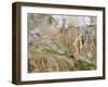 Stain Glass Wall and Geyser River in Valley of the Geysers, Kronotsky Zapovednik, Kamchatka, 2006-Igor Shpilenok-Framed Photographic Print