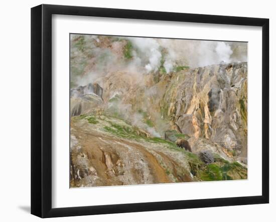 Stain Glass Wall and Geyser River in Valley of the Geysers, Kronotsky Zapovednik, Kamchatka, 2006-Igor Shpilenok-Framed Photographic Print