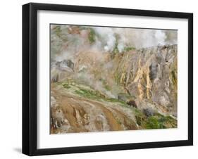 Stain Glass Wall and Geyser River in Valley of the Geysers, Kronotsky Zapovednik, Kamchatka, 2006-Igor Shpilenok-Framed Photographic Print