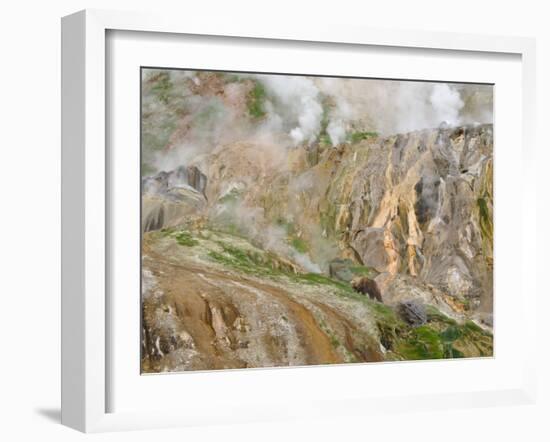 Stain Glass Wall and Geyser River in Valley of the Geysers, Kronotsky Zapovednik, Kamchatka, 2006-Igor Shpilenok-Framed Photographic Print