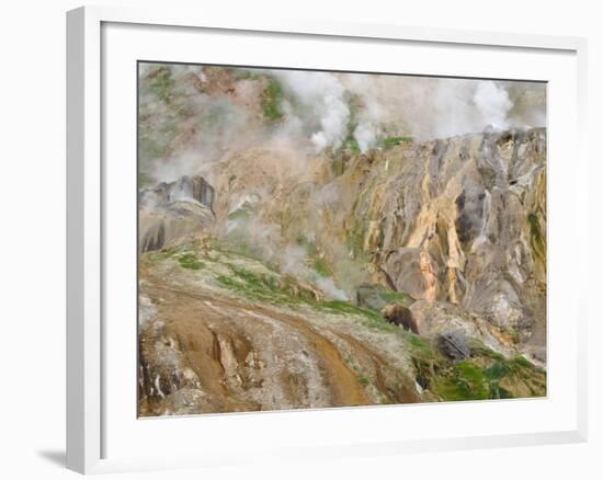 Stain Glass Wall and Geyser River in Valley of the Geysers, Kronotsky Zapovednik, Kamchatka, 2006-Igor Shpilenok-Framed Photographic Print