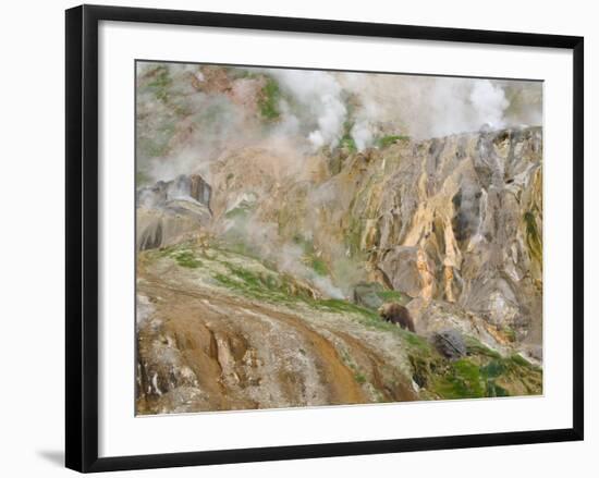 Stain Glass Wall and Geyser River in Valley of the Geysers, Kronotsky Zapovednik, Kamchatka, 2006-Igor Shpilenok-Framed Photographic Print