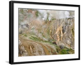 Stain Glass Wall and Geyser River in Valley of the Geysers, Kronotsky Zapovednik, Kamchatka, 2006-Igor Shpilenok-Framed Photographic Print