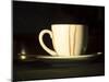 Stained Coffee Cup with Saucer, Victoria, Espírito Santo, Brazil-David H. Wells-Mounted Photographic Print