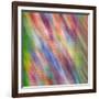 Stained Glass Abstract #3-Steven Maxx-Framed Photographic Print