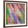 Stained Glass Abstract #3-Steven Maxx-Framed Photographic Print