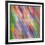 Stained Glass Abstract #3-Steven Maxx-Framed Photographic Print