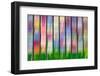 Stained Glass Abstract #4-Steven Maxx-Framed Photographic Print