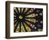 Stained Glass Detail National Basilica, Quito, Ecuador-Brent Bergherm-Framed Photographic Print