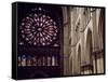 Stained-Glass from Rose Window of North Facade and Pillars of Nave of Cathedral of Notre-Dame-null-Framed Stretched Canvas