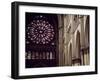 Stained-Glass from Rose Window of North Facade and Pillars of Nave of Cathedral of Notre-Dame-null-Framed Giclee Print